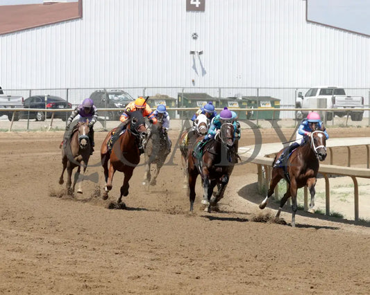 ALPINE PRINESS - Mari Hulman George Memorial - 07-05-25 - R06 - Horseshoe Indiana - Turn 01 - Kurtis Coady Indiana Grand