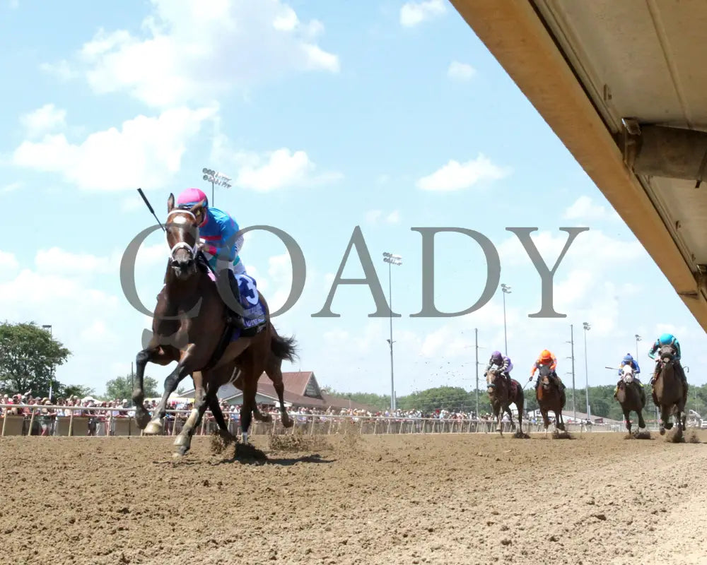 ALPINE PRINESS - Mari Hulman George Memorial - 07-05-25 - R06 - Horseshoe Indiana - Under Rail 01 - Renee Torbit