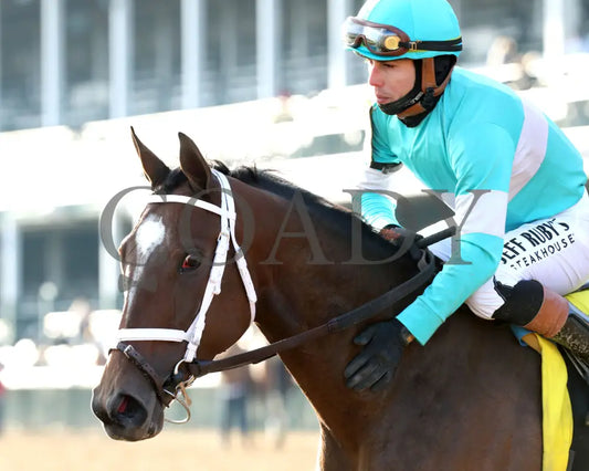 ALPINE PRINCESS - The Falls City G3 - 11-27-25 - R10 - CD - Come Back 01 - Coady Media - Kurtis Coady Photography