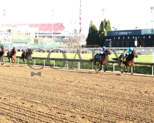 ALPINE PRINCESS - The Falls City G3 - 11-27-25 - R10 - CD - Up Track 01 - Coady Media - Kurtis Coady Photography