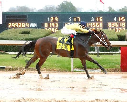 Alva Starr - American Beauty Stakes 41St Running 02-03-24 R10 Oaklawn Park Finish 01