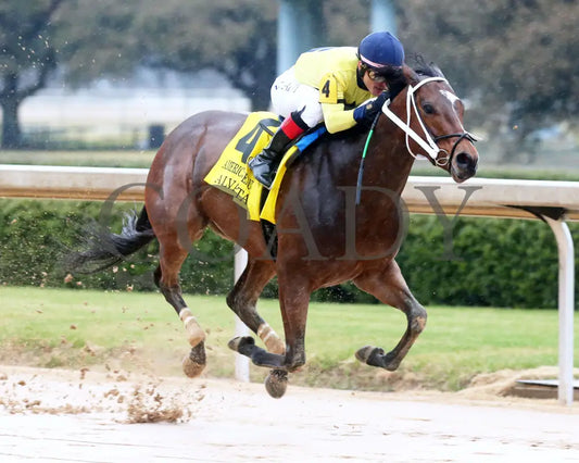 Alva Starr - American Beauty Stakes 41St Running 02-03-24 R10 Oaklawn Park Finish 02