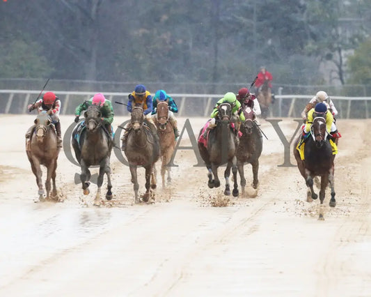 Alva Starr - American Beauty Stakes 41St Running 02-03-24 R10 Oaklawn Park Head On