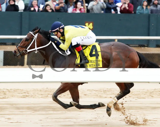 Alva Starr - American Beauty Stakes 41St Running 02-03-24 R10 Oaklawn Park Inside Finish 01
