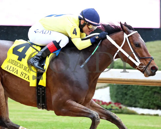 Alva Starr - American Beauty Stakes 41St Running 02-03-24 R10 Oaklawn Park Tight Finish 01