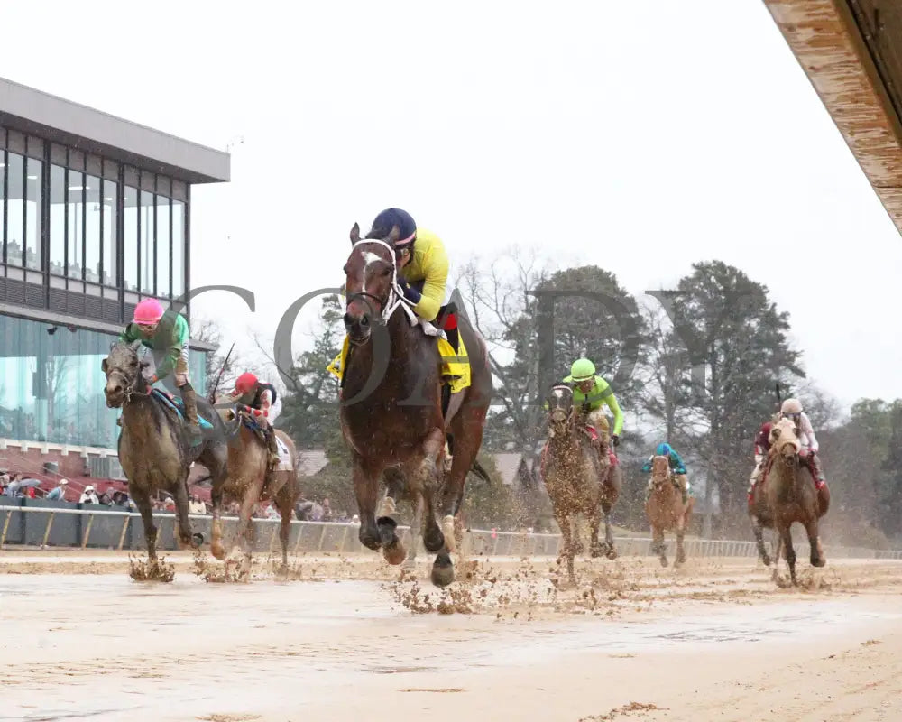 Alva Starr - American Beauty Stakes 41St Running 02-03-24 R10 Oaklawn Park Underrail 01