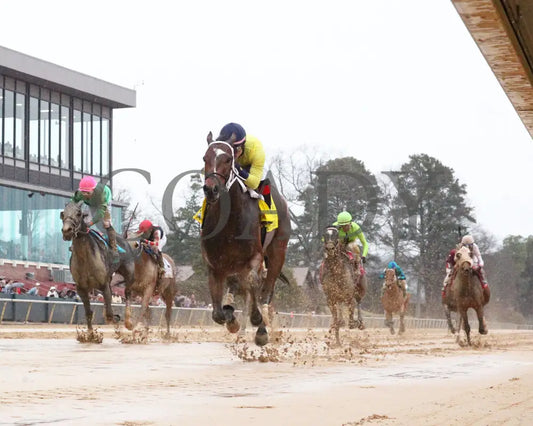 Alva Starr - American Beauty Stakes 41St Running 02-03-24 R10 Oaklawn Park Underrail 01