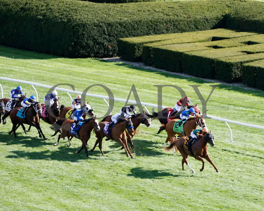 Alva Starr - The Resolute Racing Madison G1 04 - 06 - 24 R08 Kee Aerial Finish 02 Keeneland