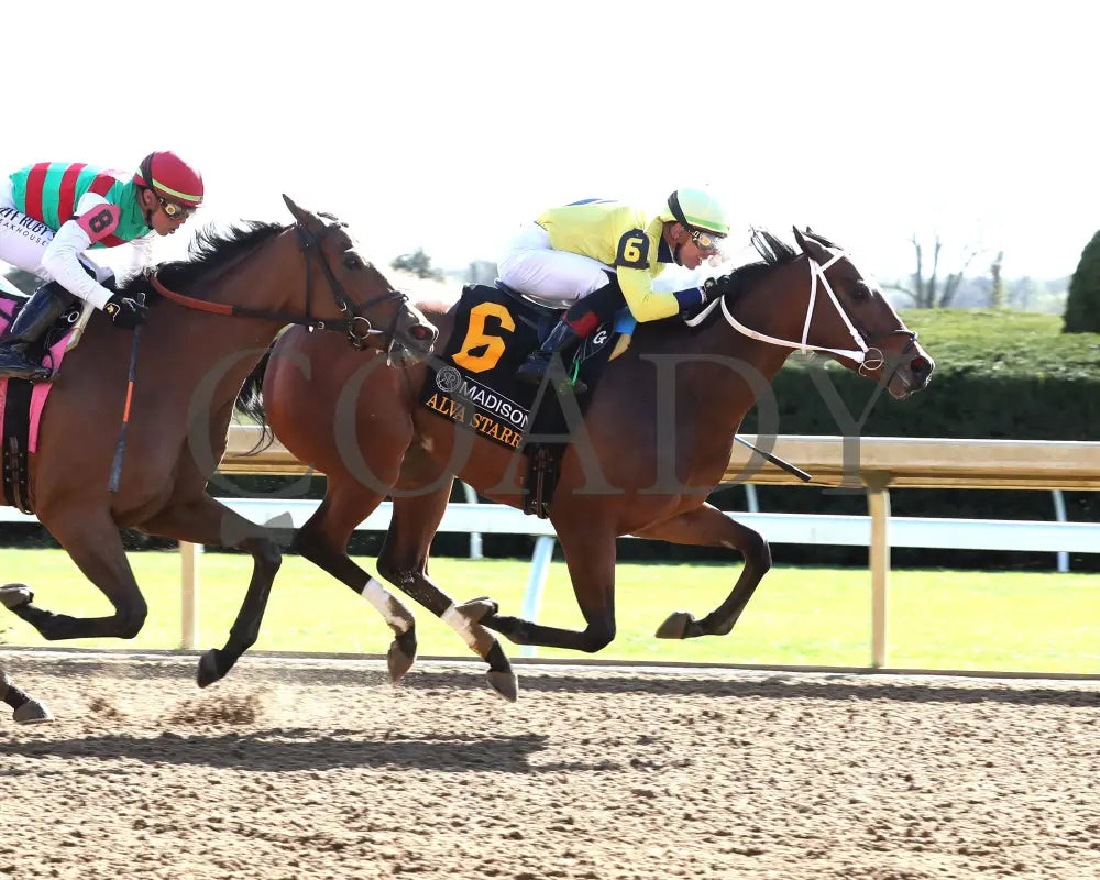Alva Starr - The Resolute Racing Madison G1 04 - 06 - 24 R08 Kee Finish 01 Keeneland