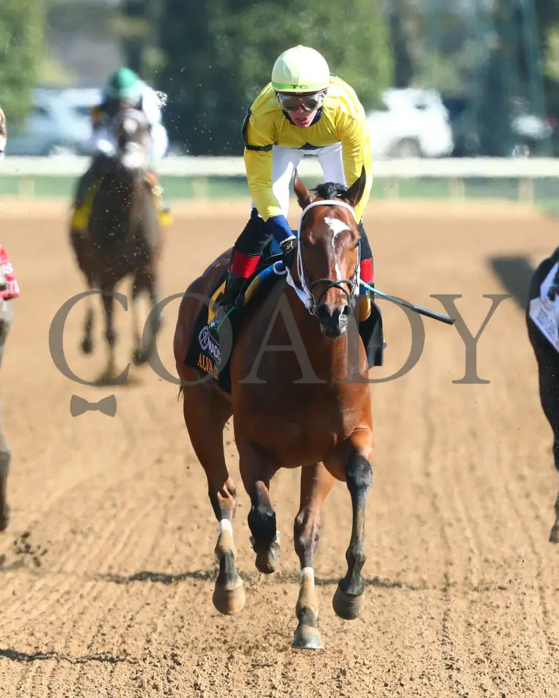 Alva Starr - The Resolute Racing Madison G1 04 - 06 - 24 R08 Kee Gallop Out 01 Keeneland