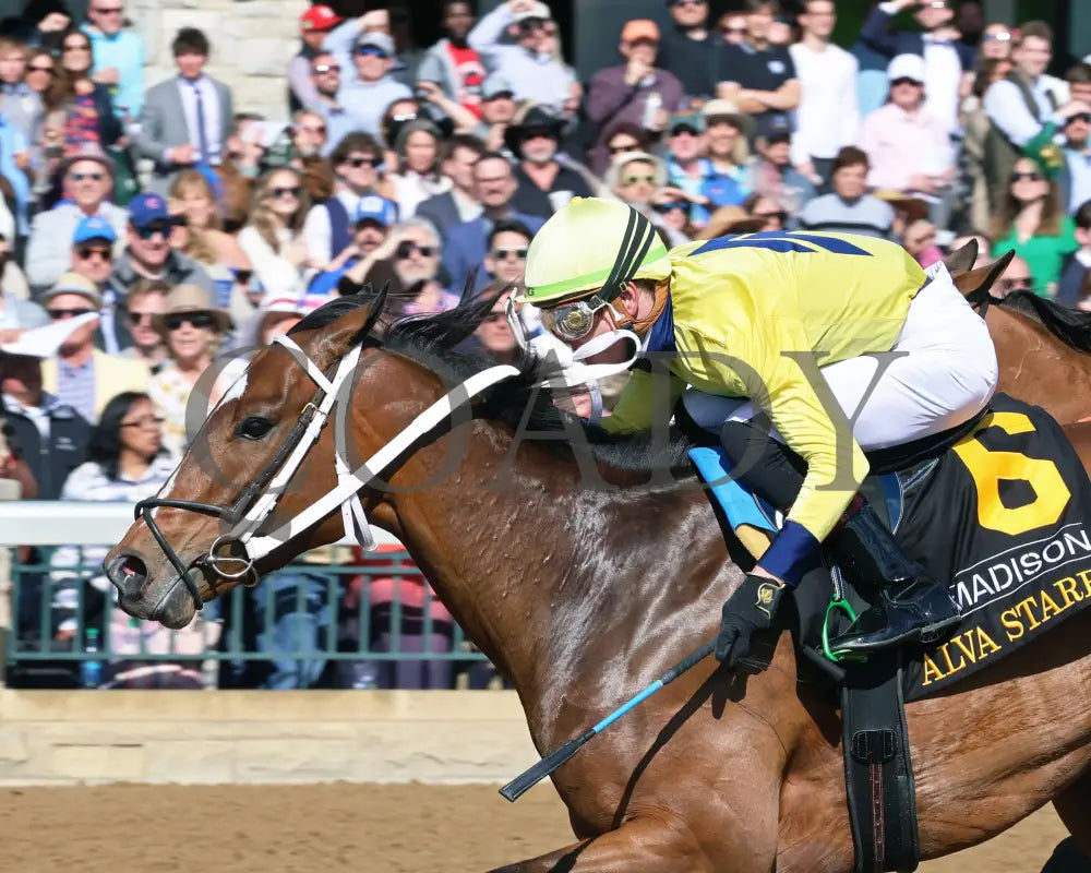 Alva Starr - The Resolute Racing Madison G1 04 - 06 - 24 R08 Kee Inside Finish 01 Keeneland