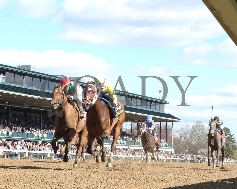 Alva Starr - The Resolute Racing Madison G1 04 - 06 - 24 R08 Kee Under Rail 01 Keeneland