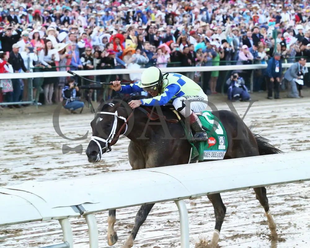 Always Dreaming - 050617 Race 12 Cd Inside Turn 5 Churchill Downs