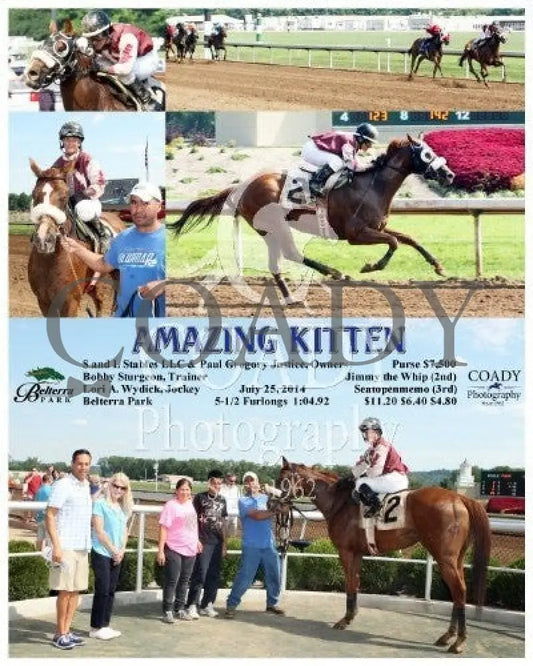 Amazing Kitten - 072514 Race 04 Btp Belterra Park