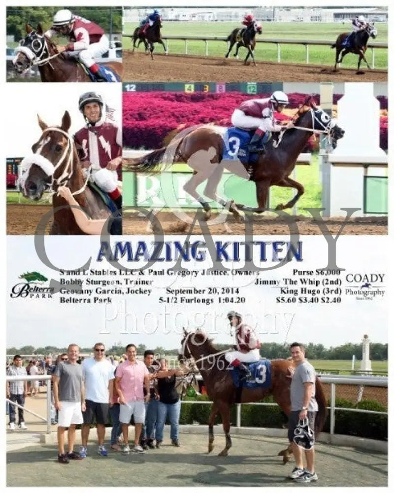 Amazing Kitten - 092014 Race 04 Btp Belterra Park