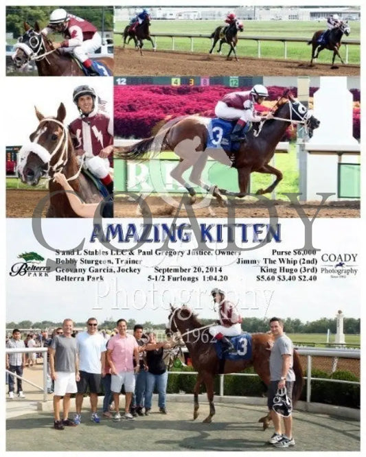 Amazing Kitten - 092014 Race 04 Btp Belterra Park