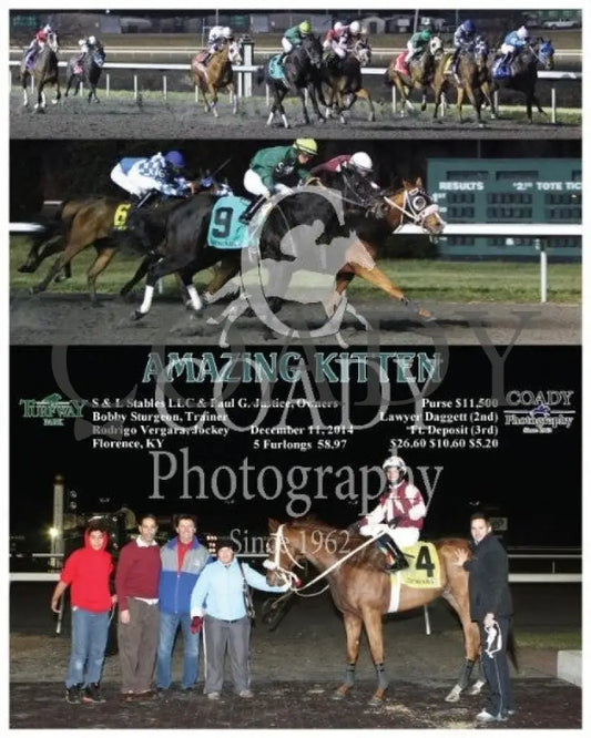 Amazing Kitten - 121114 Race 06 Tp Turfway Park