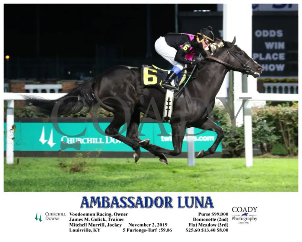 Ambassador Luna - 11-02-19 R09 Cd Action Churchill Downs