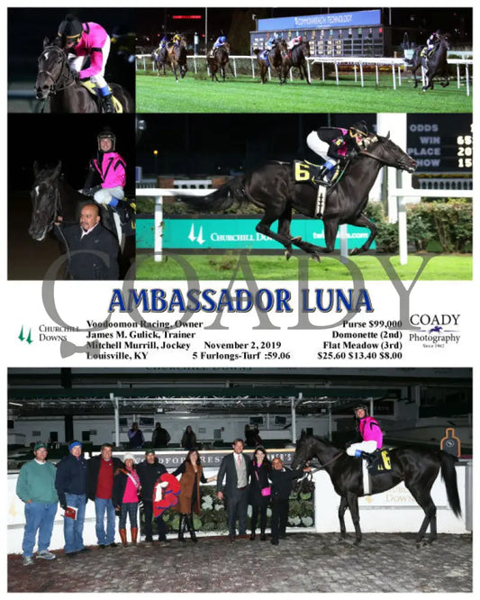 Ambassador Luna - 11-02-19 R09 Cd Churchill Downs