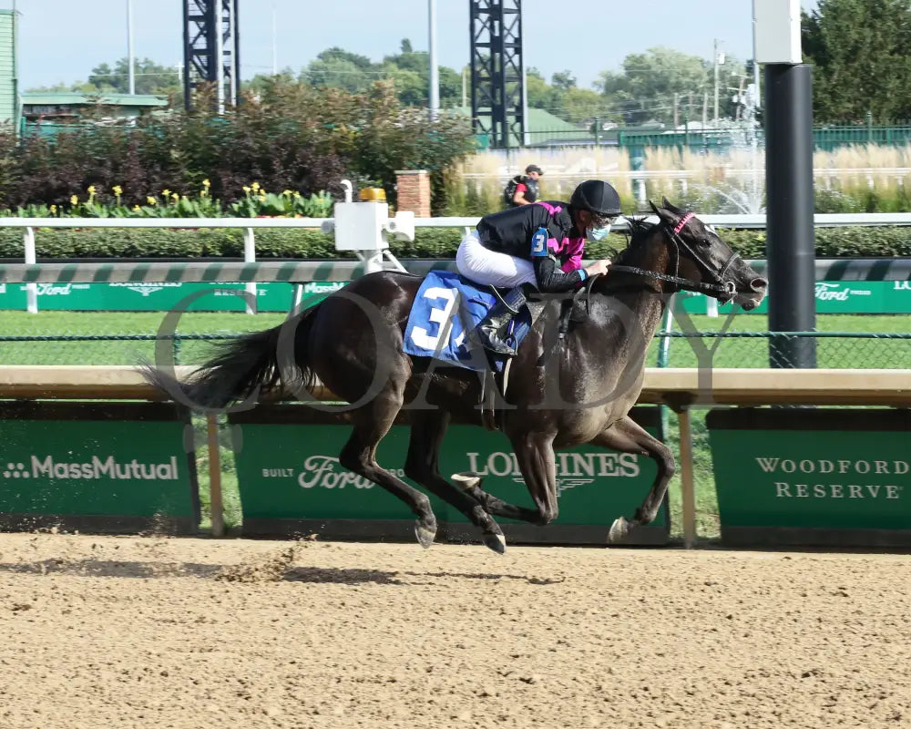 Ambassador Luna - Unbridled Sydney 10Th Running 09-02-20 R09 Cd Finish 01 Churchill Downs