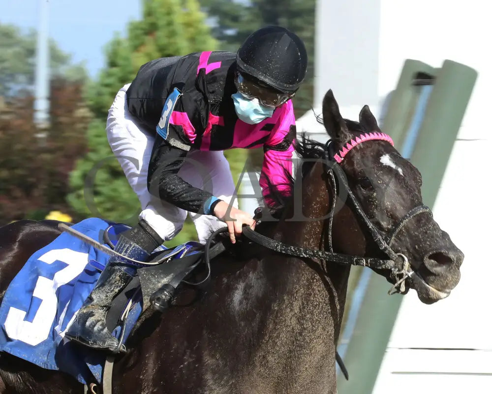 Ambassador Luna - Unbridled Sydney 10Th Running 09-02-20 R09 Cd Finish 03 Churchill Downs