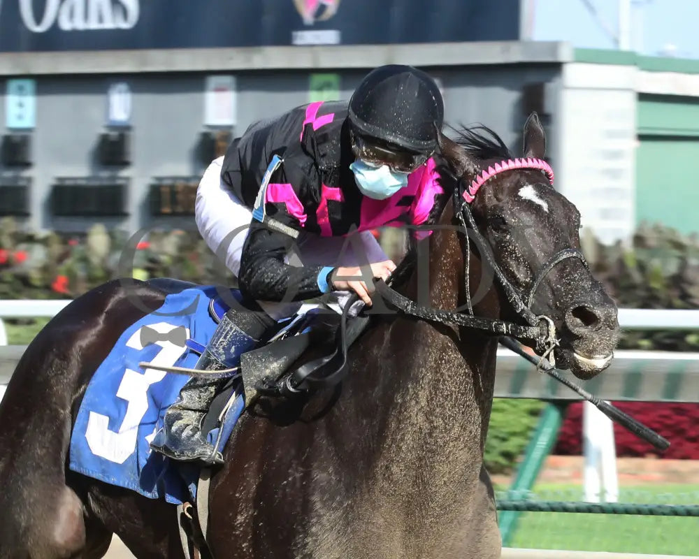 Ambassador Luna - Unbridled Sydney 10Th Running 09-02-20 R09 Cd Finish 02 Churchill Downs