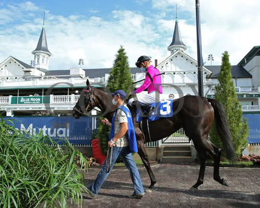 Ambassador Luna - Unbridled Sydney 10Th Running 09-02-20 R09 Cd Paddock 01 Churchill Downs