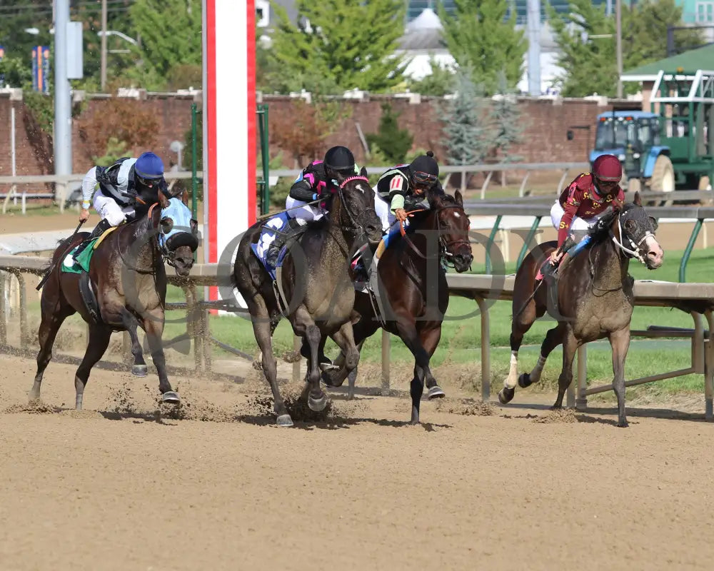 Ambassador Luna - Unbridled Sydney 10Th Running 09-02-20 R09 Cd Turn 01 Churchill Downs