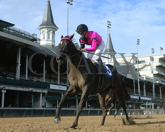 Ambassador Luna - Unbridled Sydney 10Th Running 09-02-20 R09 Cd Under Rail 02 Churchill Downs