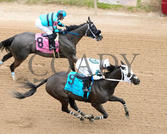 American Band - Matron Stakes 03 - 30 - 24 R10 Op Aerial Finish 01 Oaklawn Park