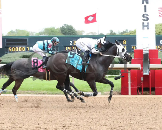 American Band - Matron Stakes 03 - 30 - 24 R10 Op Finish 01 Oaklawn Park