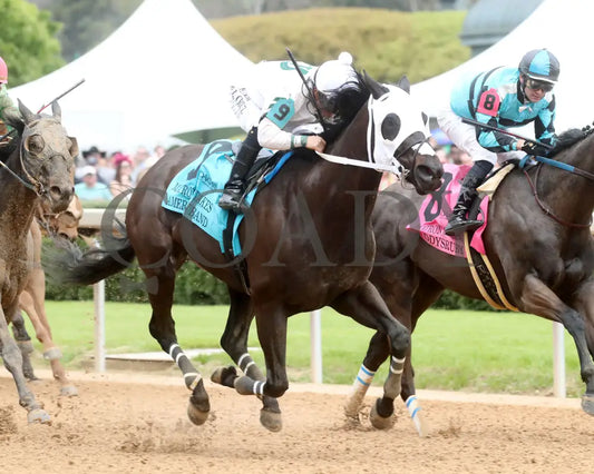 American Band - Matron Stakes 03 - 30 - 24 R10 Op Finish 02 Oaklawn Park