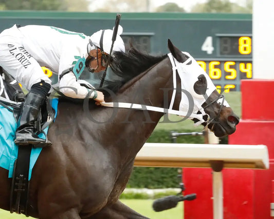 American Band - Matron Stakes 03 - 30 - 24 R10 Op Finish 03 Oaklawn Park