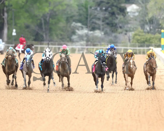 American Band - Matron Stakes 03 - 30 - 24 R10 Op Head On 01 Oaklawn Park