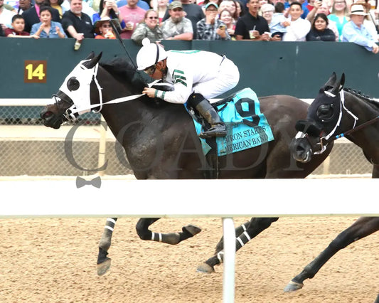 American Band - Matron Stakes 03 - 30 - 24 R10 Op Inside Finish 01 Oaklawn Park