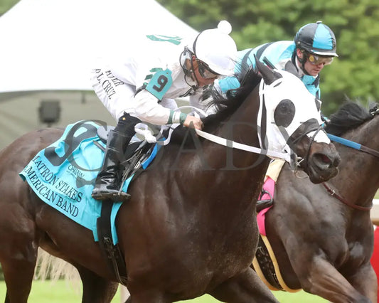 American Band - Matron Stakes 03 - 30 - 24 R10 Op Tight Finish 01 Oaklawn Park