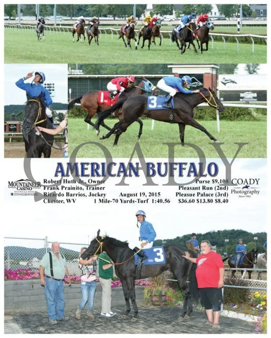 American Buffalo - 081915 Race 02 Mnr Mountaineer Park