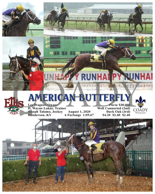 American Butterfly - 08-01-20 R04 Elp Ellis Park