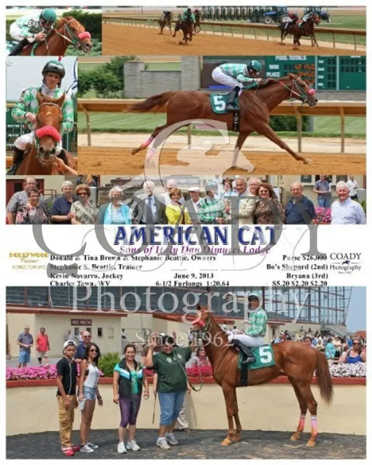 American Cat - 060913 Race 04 Ct Hollywood Casino At Charles Town Races