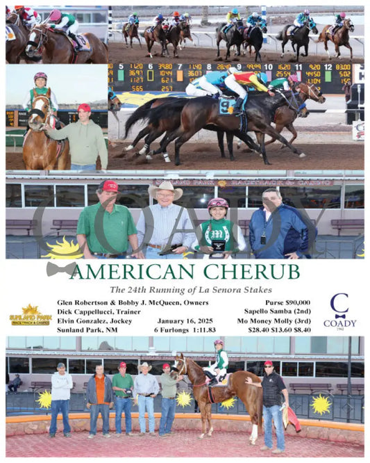 American Cherub - Lasenora Stakes 01-16-25 R09 Sun Turfway Park