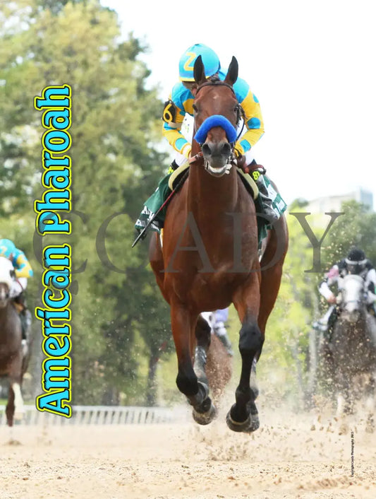 American Pharoah 18X24 Print