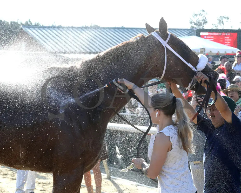 AMERICAN PROMISE - The Virginia Derby - 03-15-25 - R09 - CNL - Bath 01 - Coady Media - Kurtis Coady Photography
