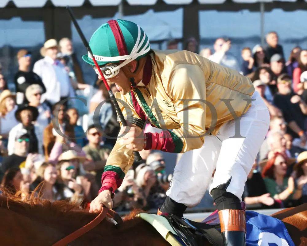AMERICAN PROMISE - The Virginia Derby - 03-15-25 - R09 - CNL - Celebration 01 Colonial Downs