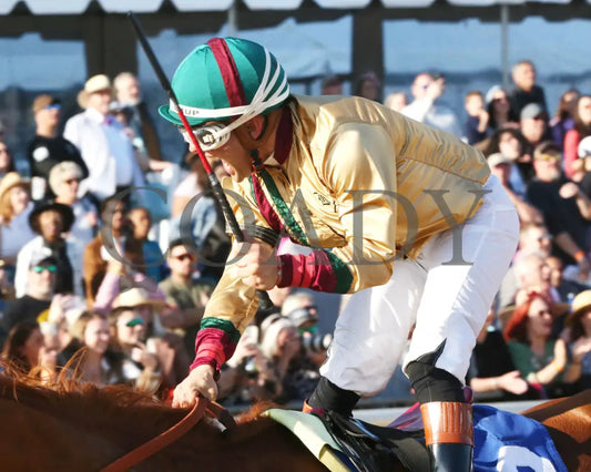 AMERICAN PROMISE - The Virginia Derby - 03-15-25 - R09 - CNL - Celebration 01 Colonial Downs