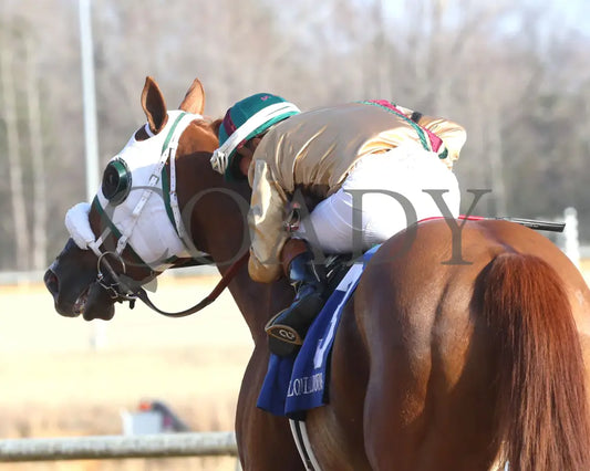 AMERICAN PROMISE - The Virginia Derby - 03-15-25 - R09 - CNL - Come Back 01 Colonial Downs