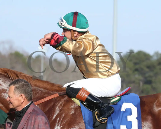 AMERICAN PROMISE - The Virginia Derby - 03-15-25 - R09 - CNL - Come Back 04 Colonial Downs