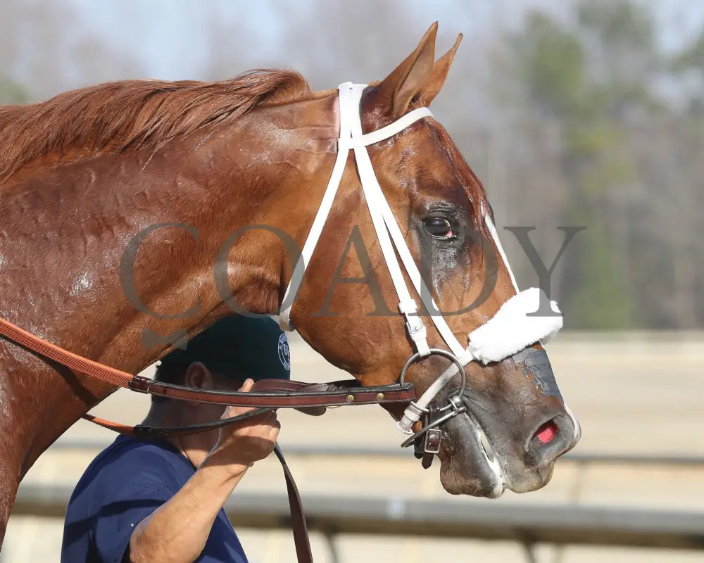 AMERICAN PROMISE - The Virginia Derby - 03-15-25 - R09 - CNL - Come Back 05 Colonial Downs