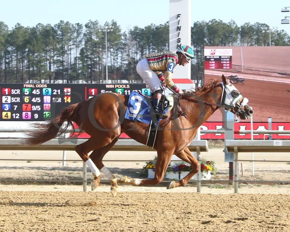 AMERICAN PROMISE - The Virginia Derby - 03-15-25 - R09 - CNL - Finish 01 Colonial Downs