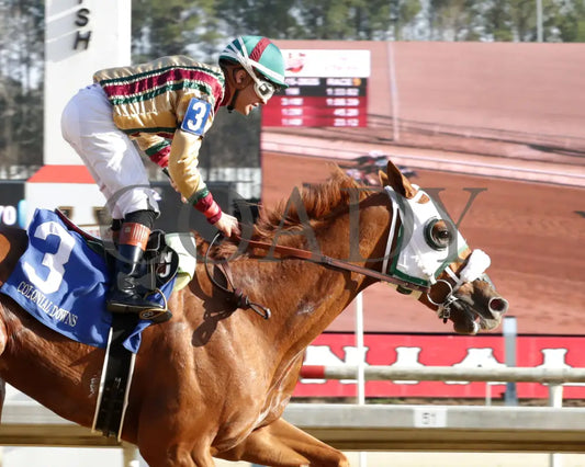 AMERICAN PROMISE - The Virginia Derby - 03-15-25 - R09 - CNL - Finish 02 - Coady Media - Kurtis Coady Photography