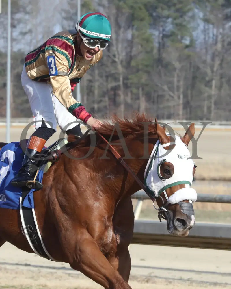 AMERICAN PROMISE - The Virginia Derby - 03-15-25 - R09 - CNL - Finish 04 - Coady Media - Kurtis Coady Photography